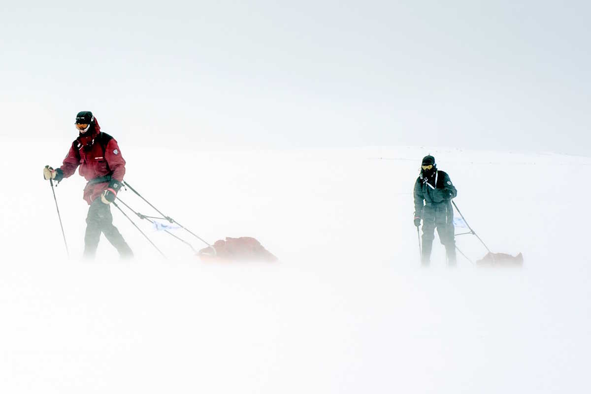 Adventurers on an expedition